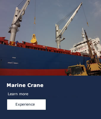 Marine Crane