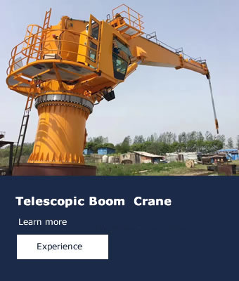 Telescopic Boom  Crane